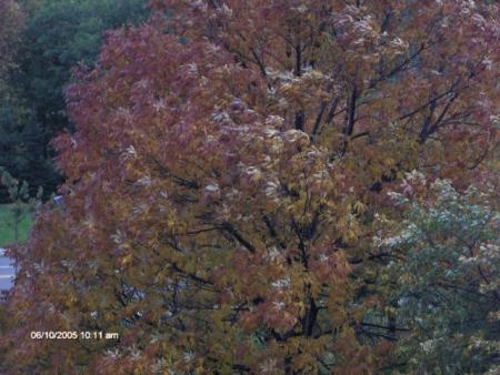 Automne, bel automne!!